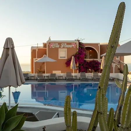 Mini-hôtel The Flower