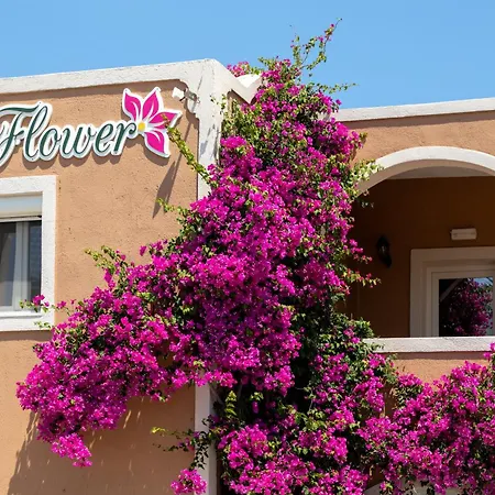 The Flower 2* Oia