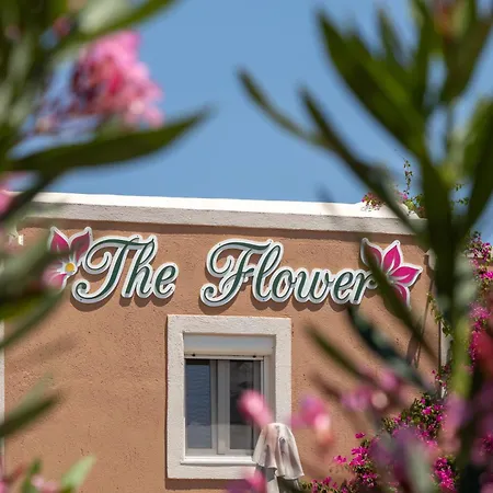 The Flower