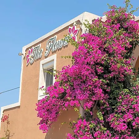 Πανδοχείο The Flower 2*