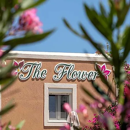 The Flower Πανδοχείο 2*