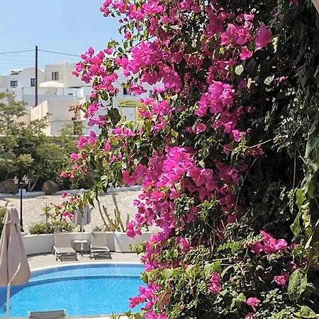 Πανδοχείο The Flower Οία