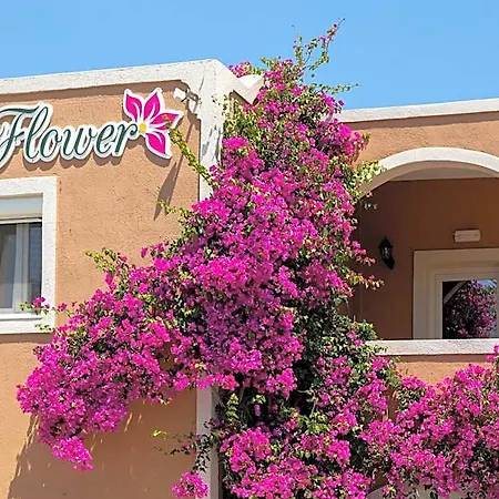 The Flower Πανδοχείο 2*