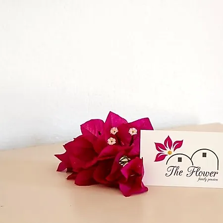 The Flower Πανδοχείο 2*