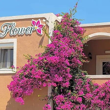 The Flower 2* Οία