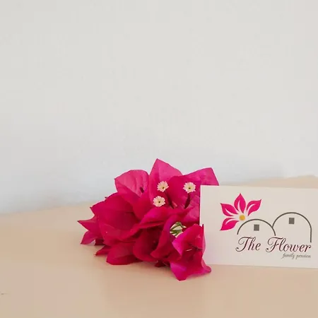 The Flower Oia