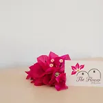 The Flower Oia