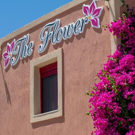 The Flower Inn 2*