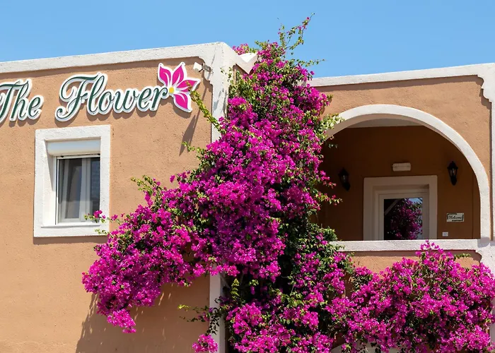 The Flower 2* אויה