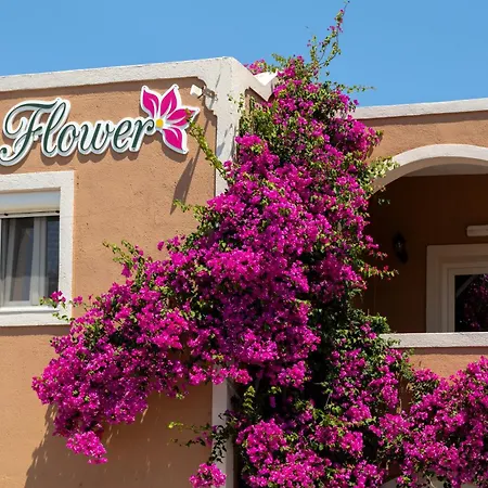 بيت ريفي The Flower