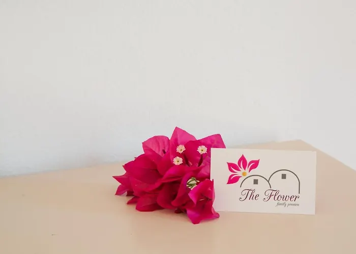 The Flower أويا